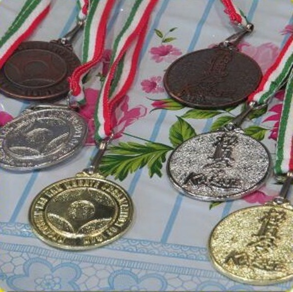 ورزشکاران سبزوار۳۲۰ مدال کشوری کسب کردند
