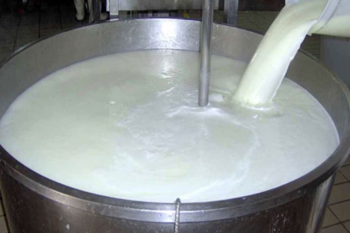 معدوم‌سازی ۱۲۰۰ کیلوگرم شیر خام آلوده در سبزوار