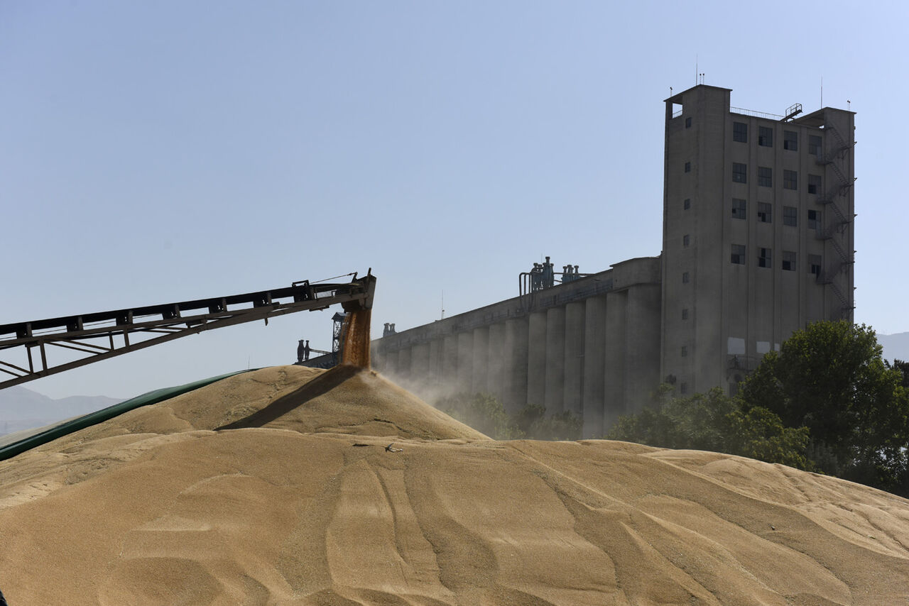 کشاورزان سبزوار ۱۸ هزار تن گندم به سیلوها تحویل دادند