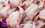 تولید گوشت مرغ در سبزوار حدود ۳۰ درصد افزایش یافت