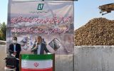 ایران طی ۳ سال در تولید شکر خودکفا می‌شود